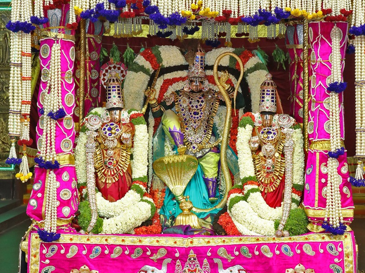 Tirumala Srivari Brahmotsavam 2020 Photo Gallery - Sakshi6