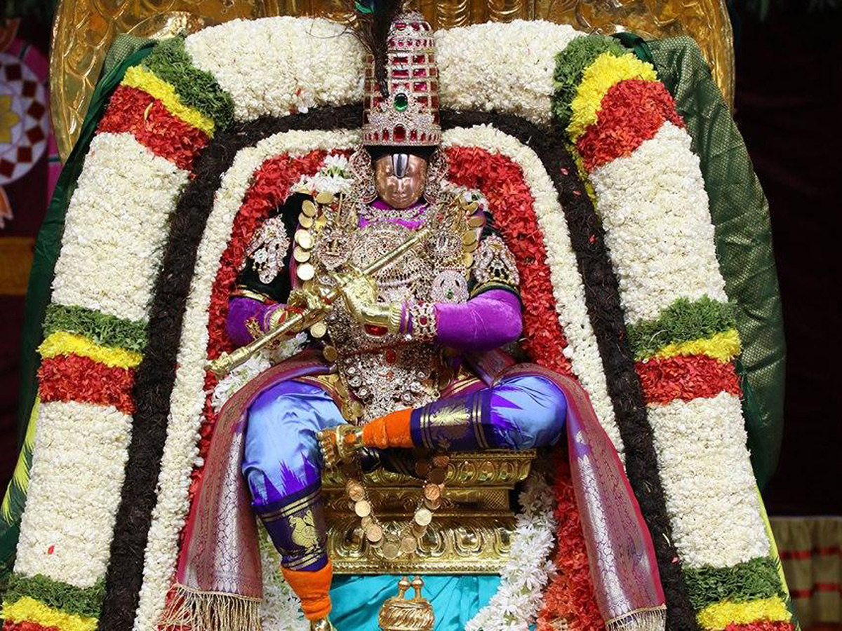 Tirumala Tirupati Brahmotsavam 2020 Photo Gallery - Sakshi14