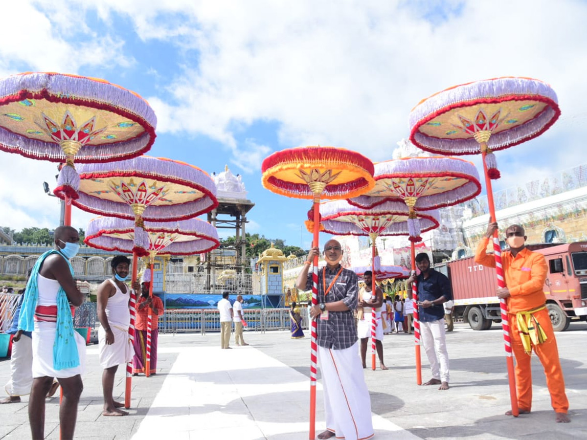 Kalpavriksha Vahanam at Tirumala Brahmotsavam Photo Gallery - Sakshi9