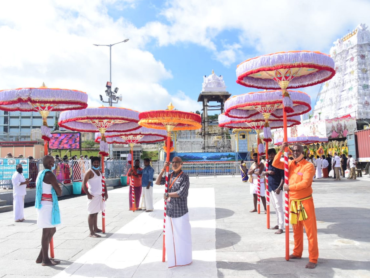 Kalpavriksha Vahanam at Tirumala Brahmotsavam Photo Gallery - Sakshi10