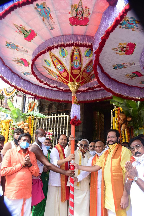 Kalpavriksha Vahanam at Tirumala Brahmotsavam Photo Gallery - Sakshi12