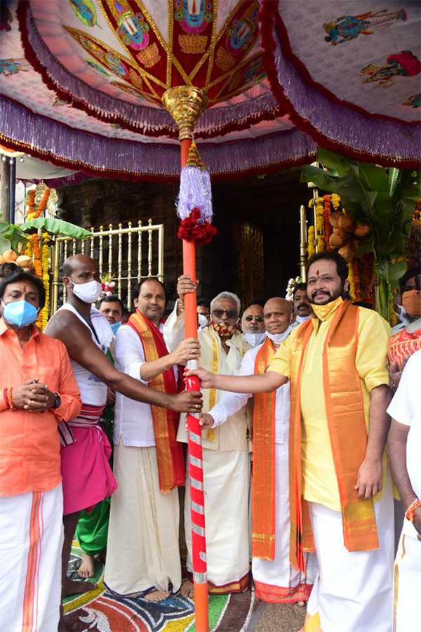 Kalpavriksha Vahanam at Tirumala Brahmotsavam Photo Gallery - Sakshi13