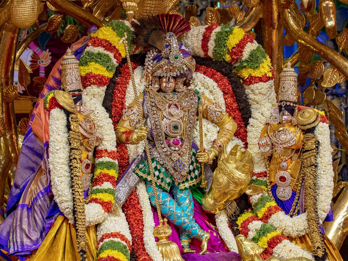 Kalpavriksha Vahanam at Tirumala Brahmotsavam Photo Gallery - Sakshi2