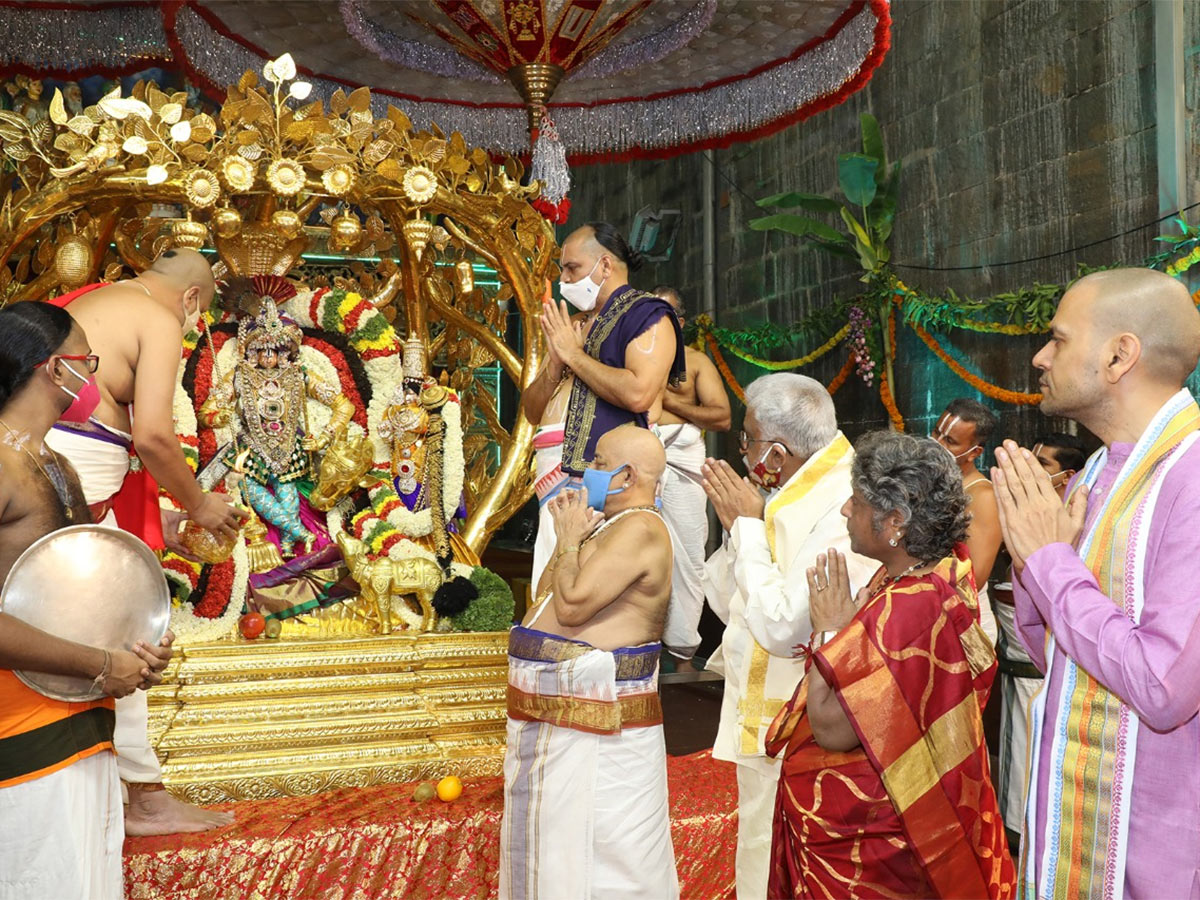 Kalpavriksha Vahanam at Tirumala Brahmotsavam Photo Gallery - Sakshi6