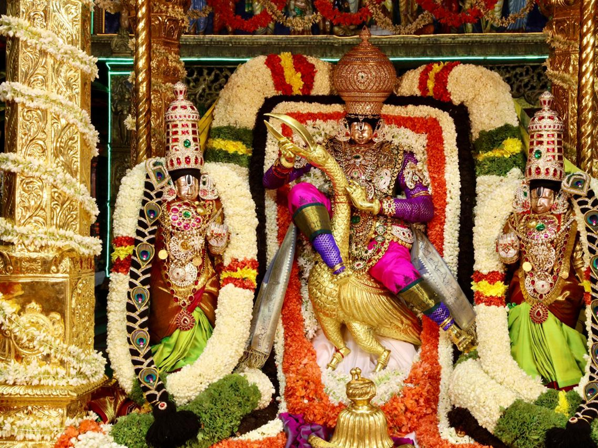 Tirumala Srivari Brahmotsavam 2020 Photo Gallery - Sakshi12