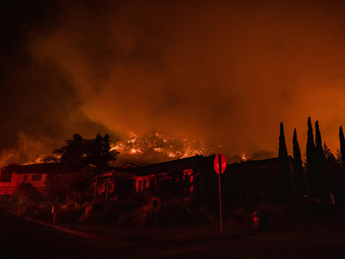 California wildfires erupt in wine country Photo Gallery - Sakshi11