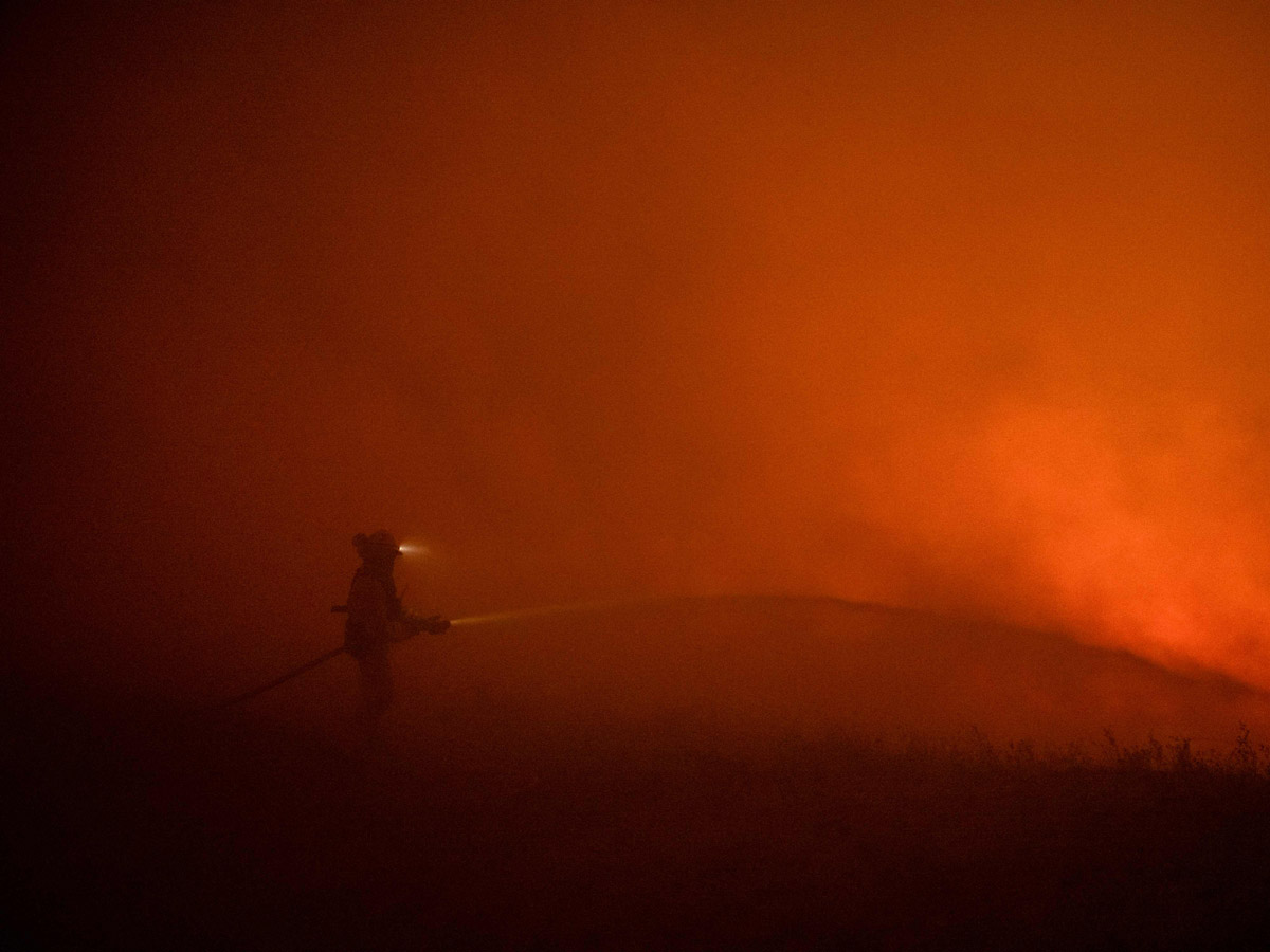 California wildfires erupt in wine country Photo Gallery - Sakshi5