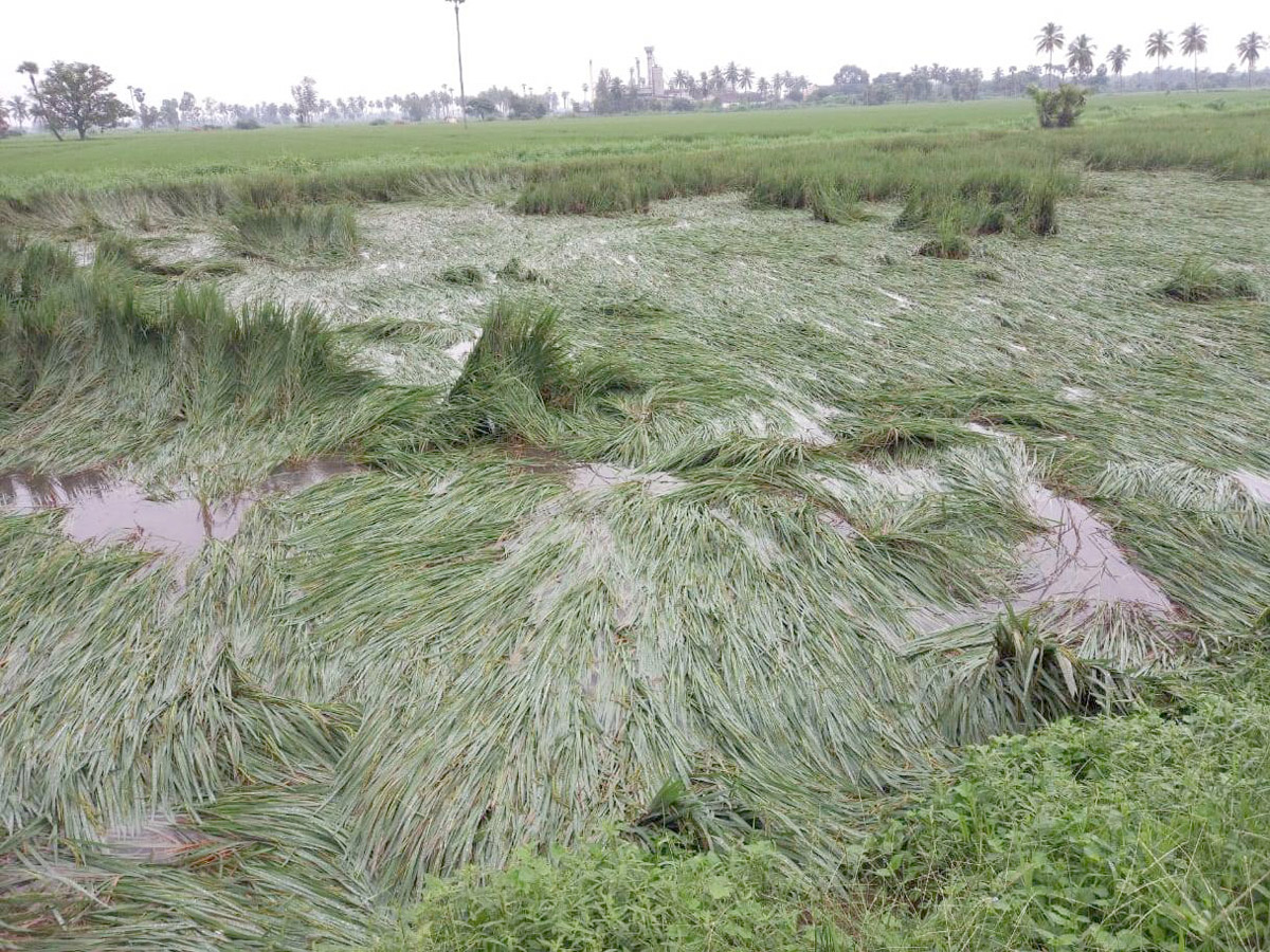 Heavy Rain Warning Issued For Andhra Pradesh Photos - Sakshi15