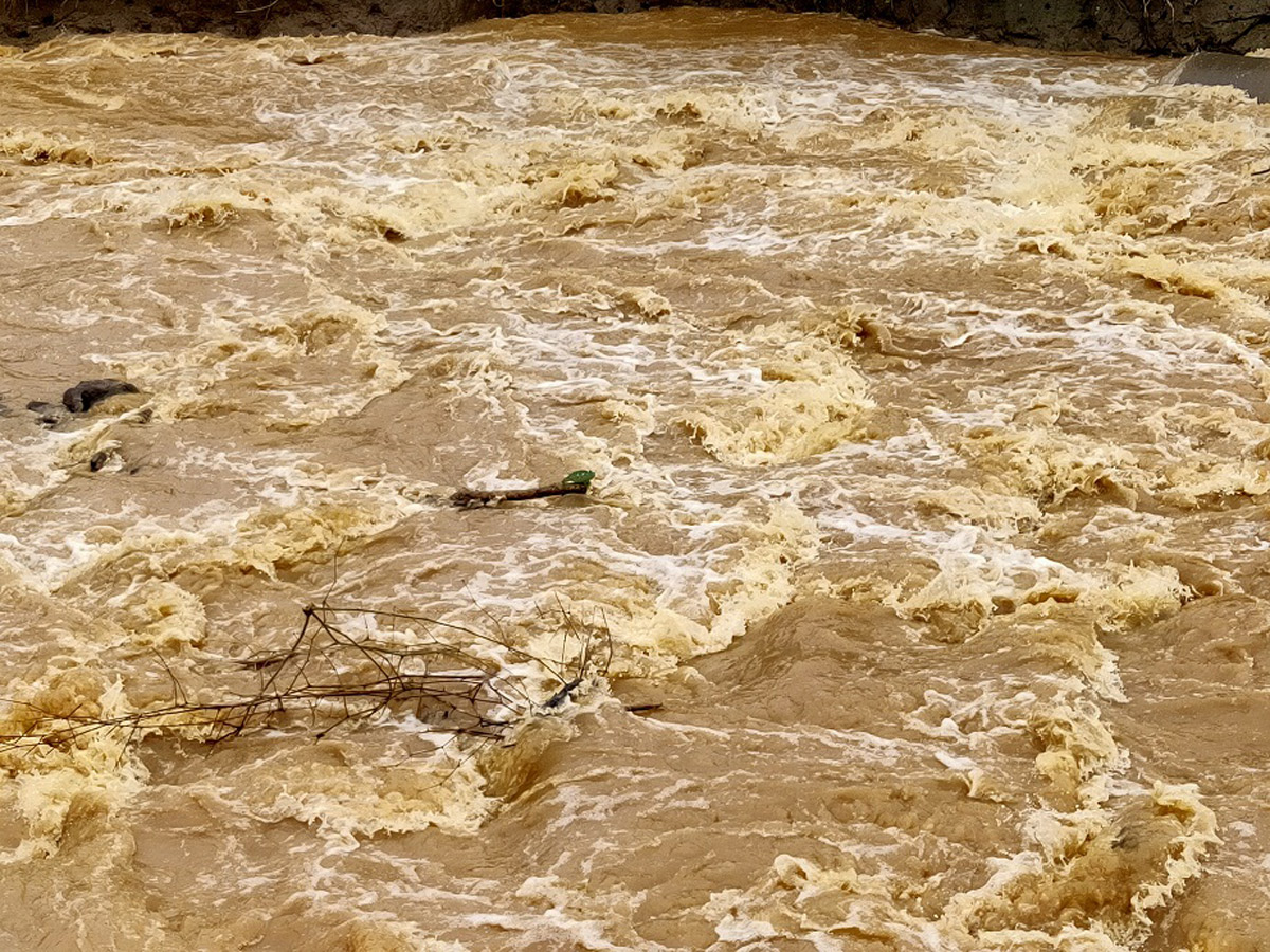 Heavy Rain Warning Issued For Andhra Pradesh Photos - Sakshi30