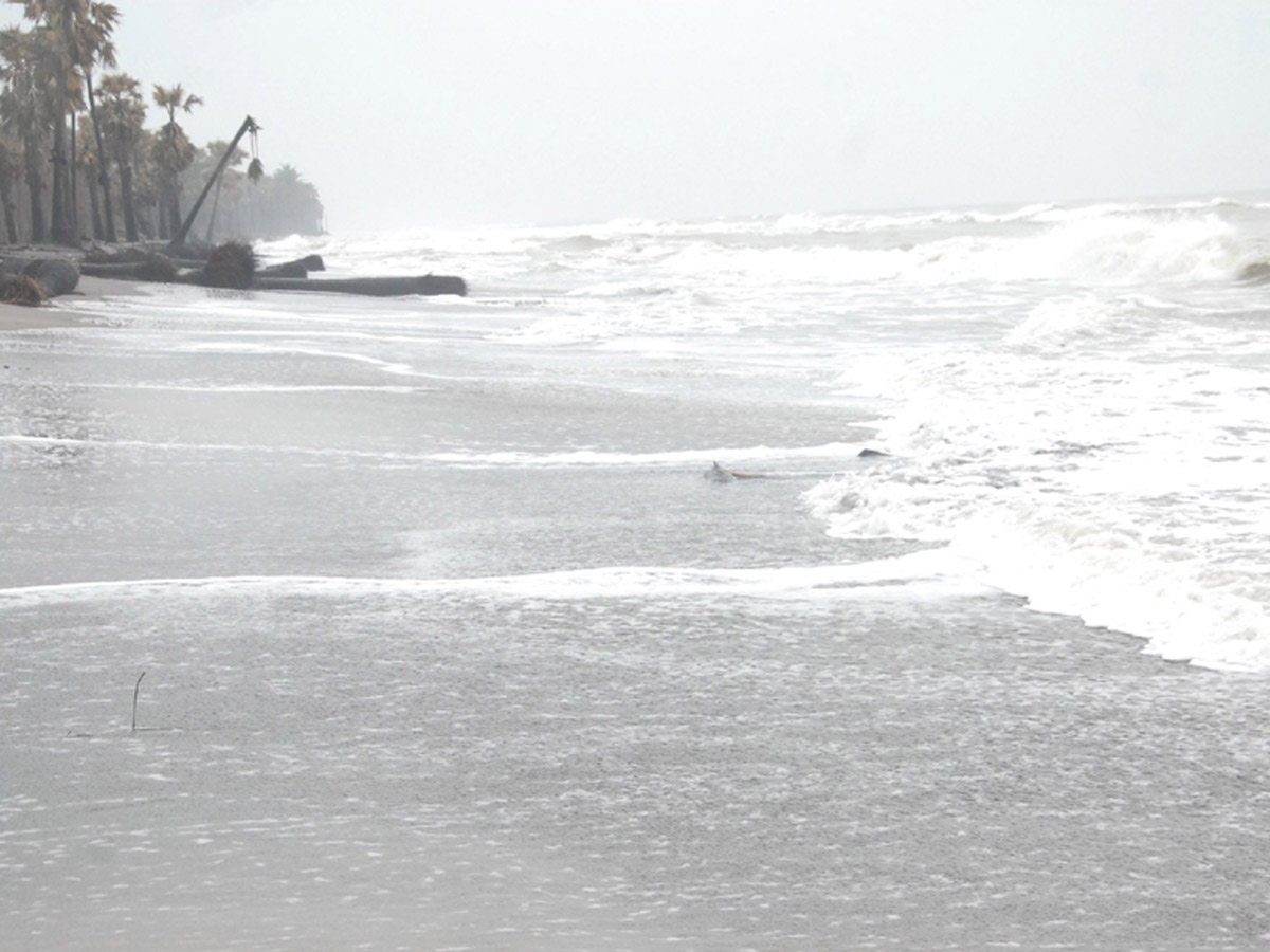 Heavy Rain Warning Issued For Andhra Pradesh Photos - Sakshi35