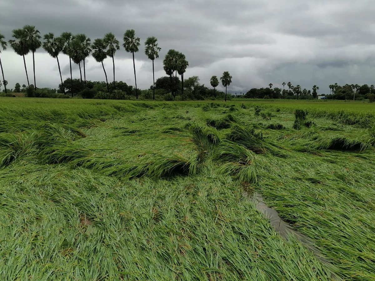 Heavy Rain In Andhra Pradesh Telangana - Sakshi20