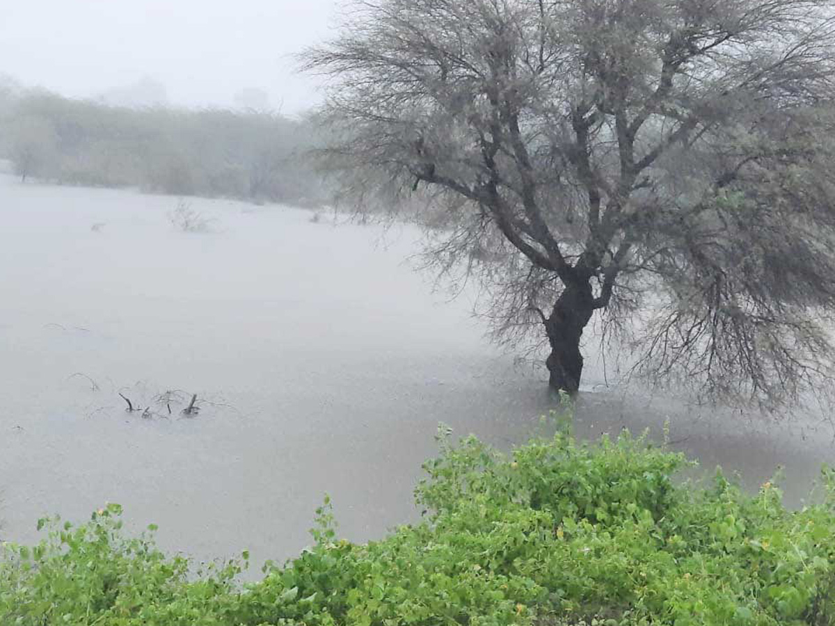 Heavy Rain In Andhra Pradesh Telangana - Sakshi27