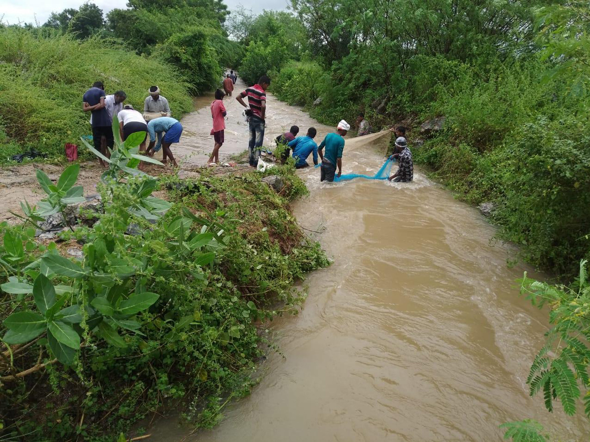 Heavy Rain In Andhra Pradesh Telangana - Sakshi18