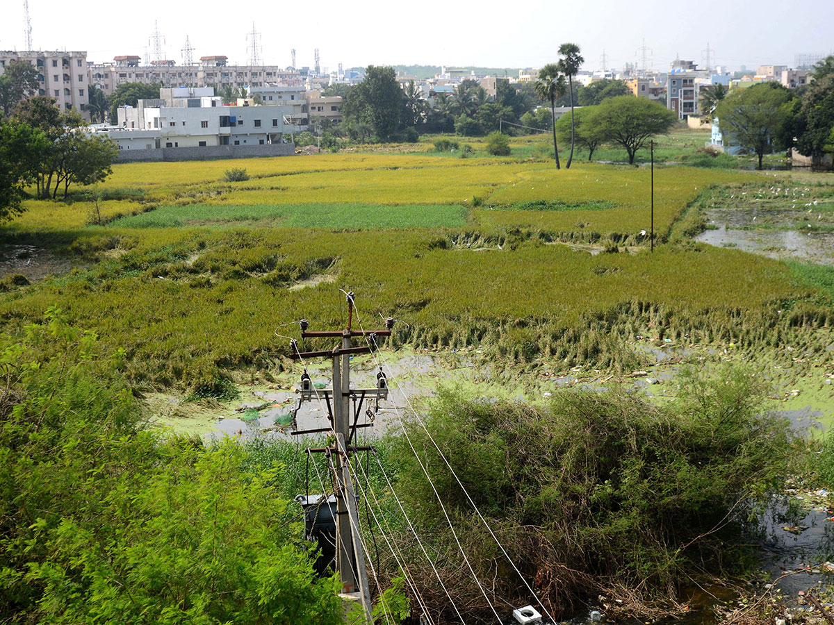 Heavy rains pound Hyderabad photo gallery - Sakshi39