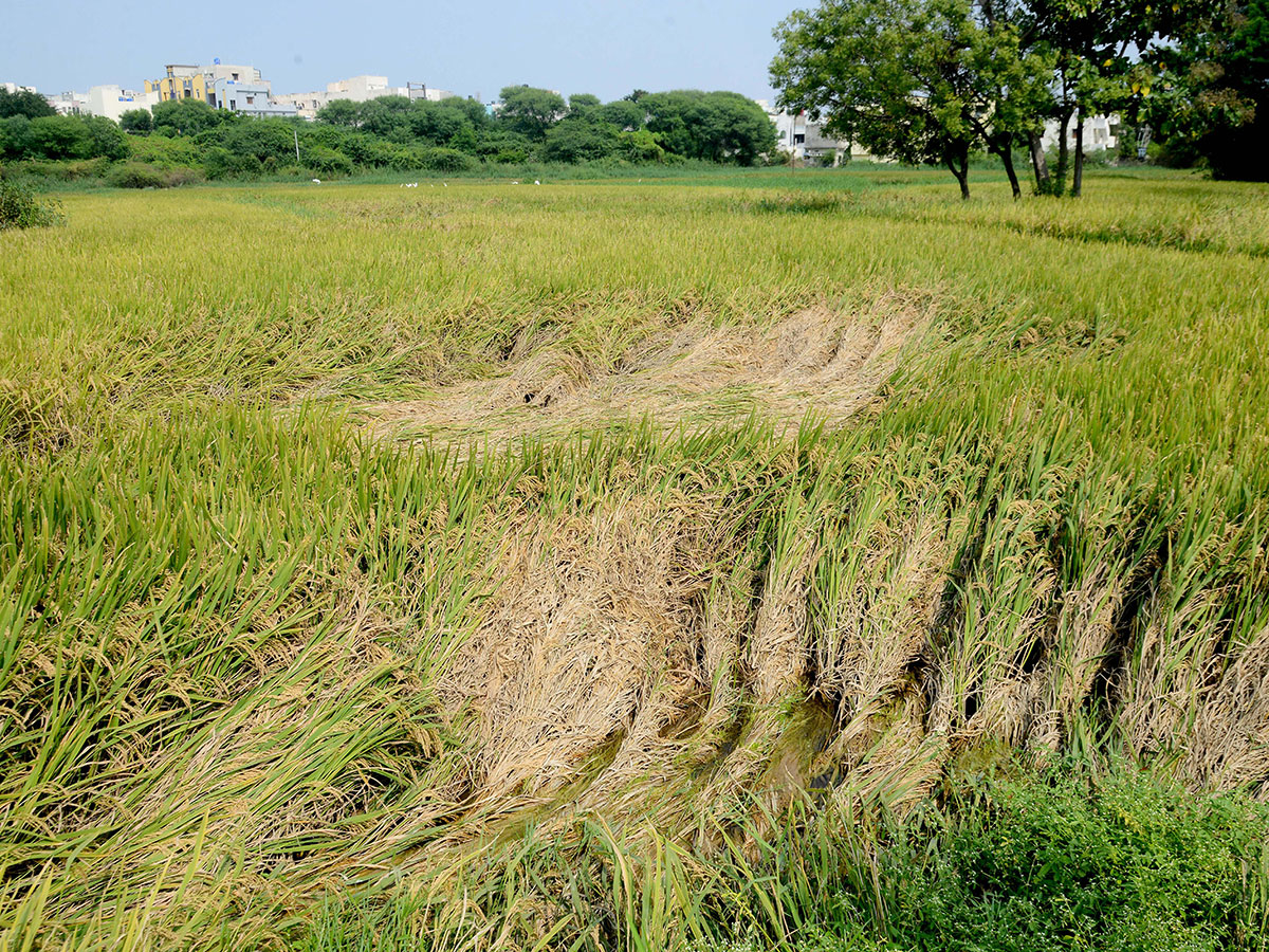 Heavy rains pound Hyderabad photo gallery - Sakshi44