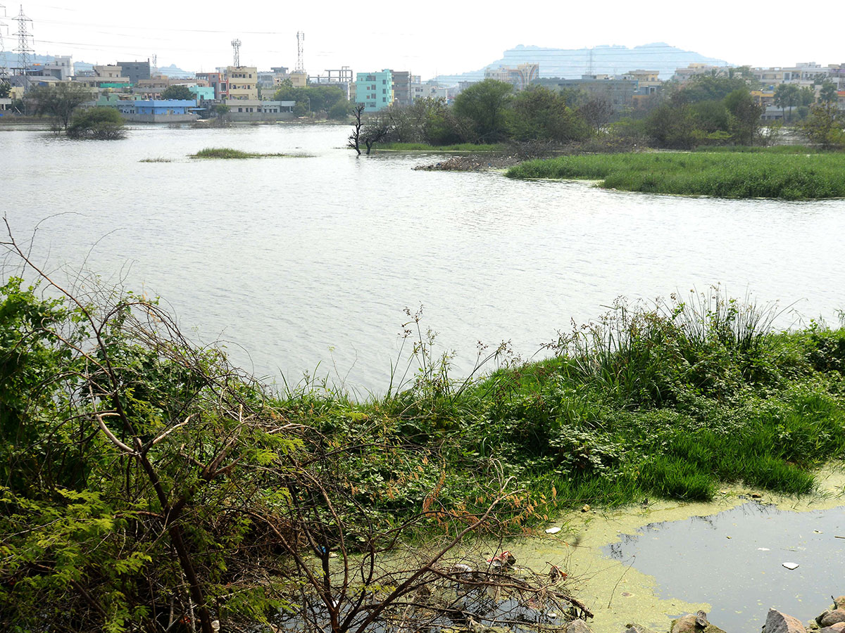 Heavy rains pound Hyderabad photo gallery - Sakshi51