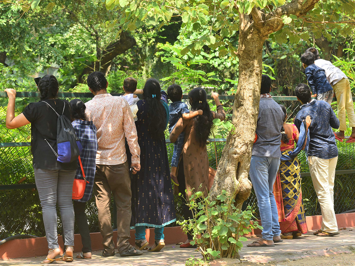 nehru zoological park of hyderabad reopen photos - Sakshi19