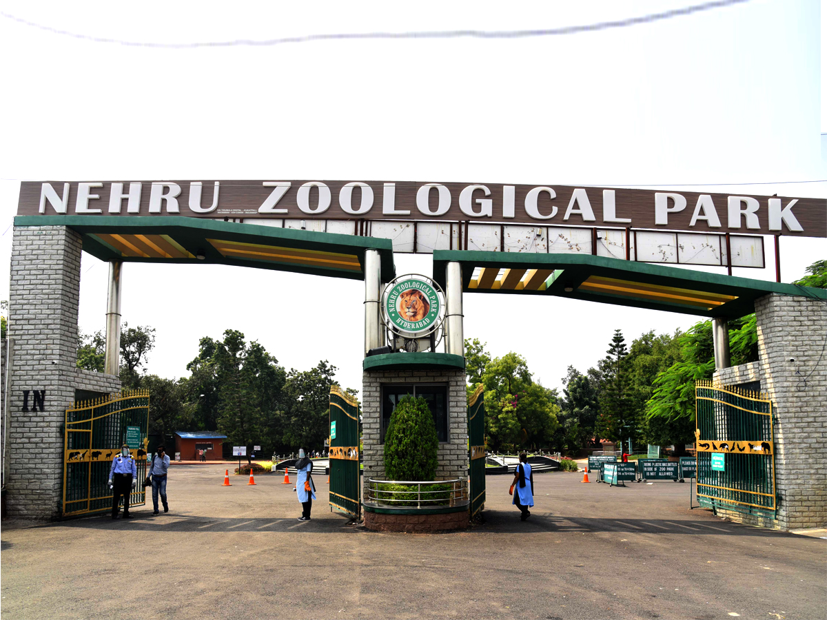 nehru zoological park of hyderabad reopen photos - Sakshi20