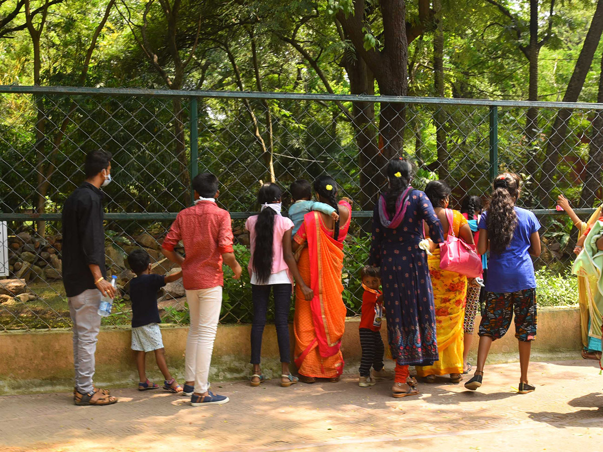 nehru zoological park of hyderabad reopen photos - Sakshi7