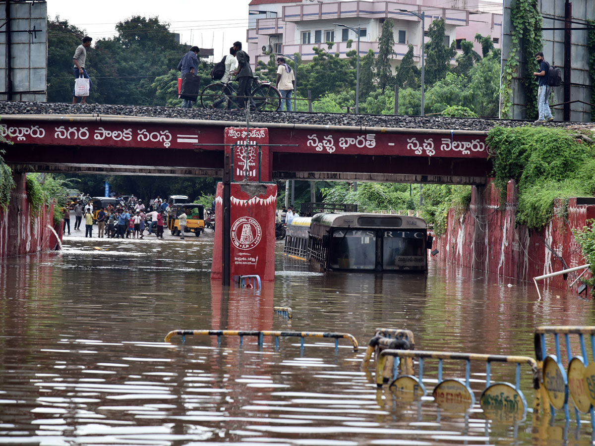 Heavy rain lashes Nellore district Photo Gallery - Sakshi1