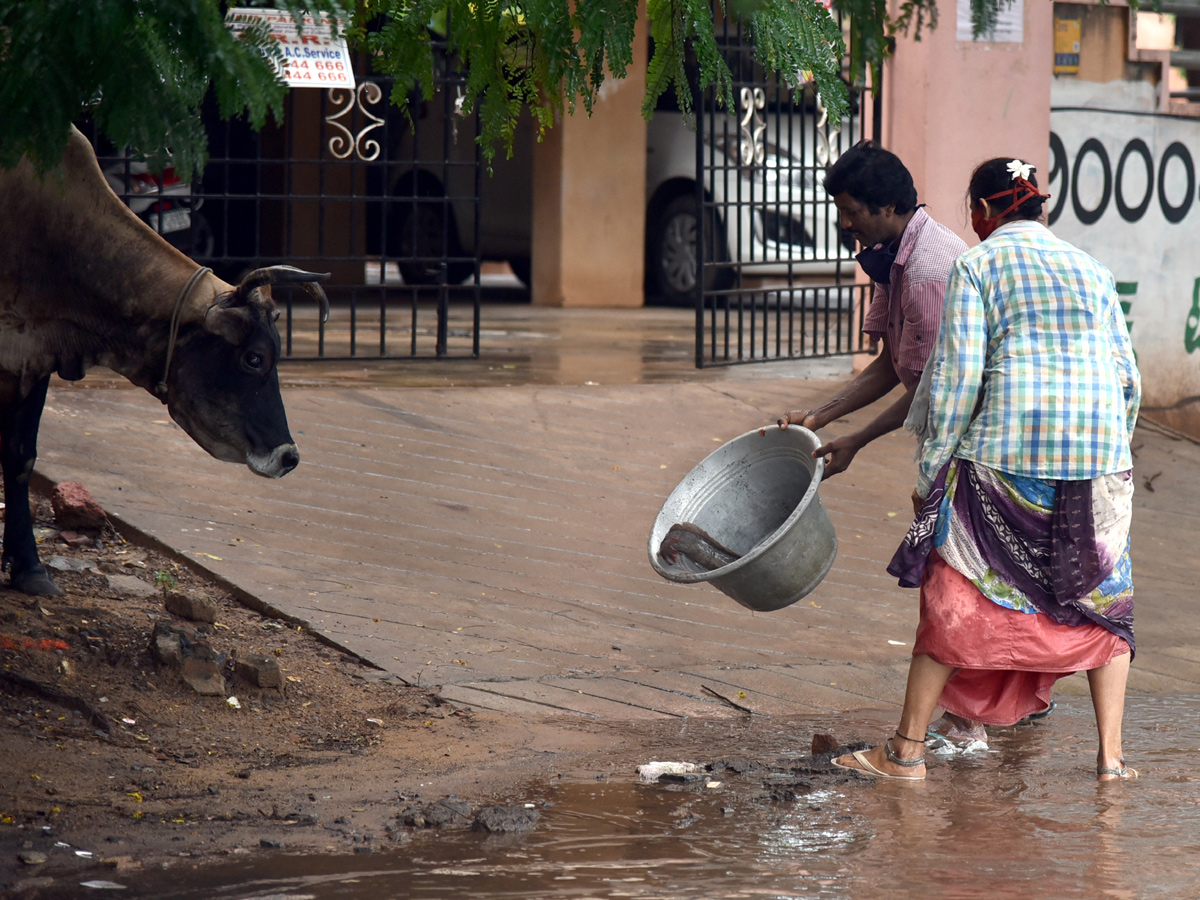 Heavy rain lashes Nellore district Photo Gallery - Sakshi24