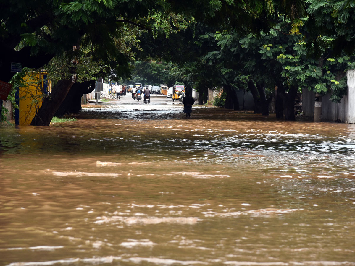 Heavy rain lashes Nellore district Photo Gallery - Sakshi42