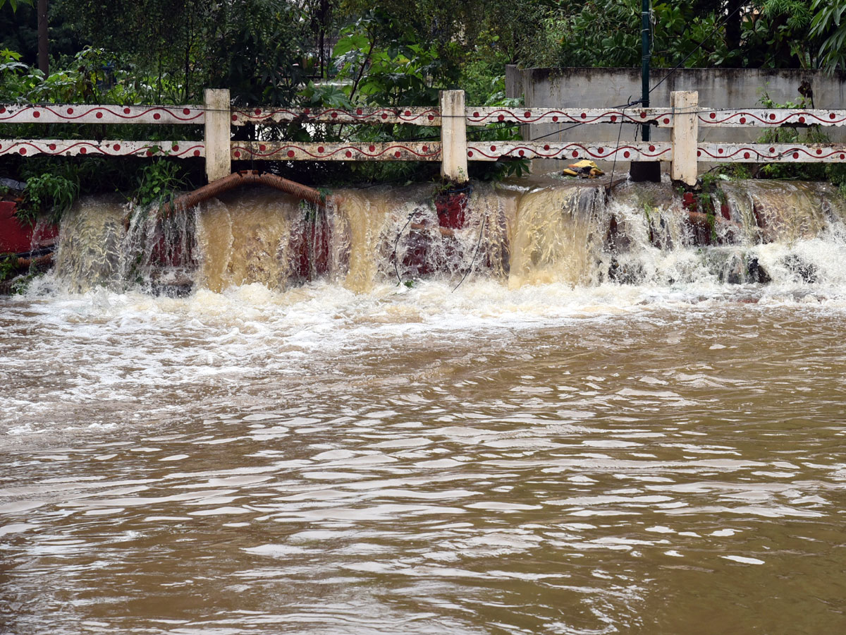 Heavy rain lashes Nellore district Photo Gallery - Sakshi46