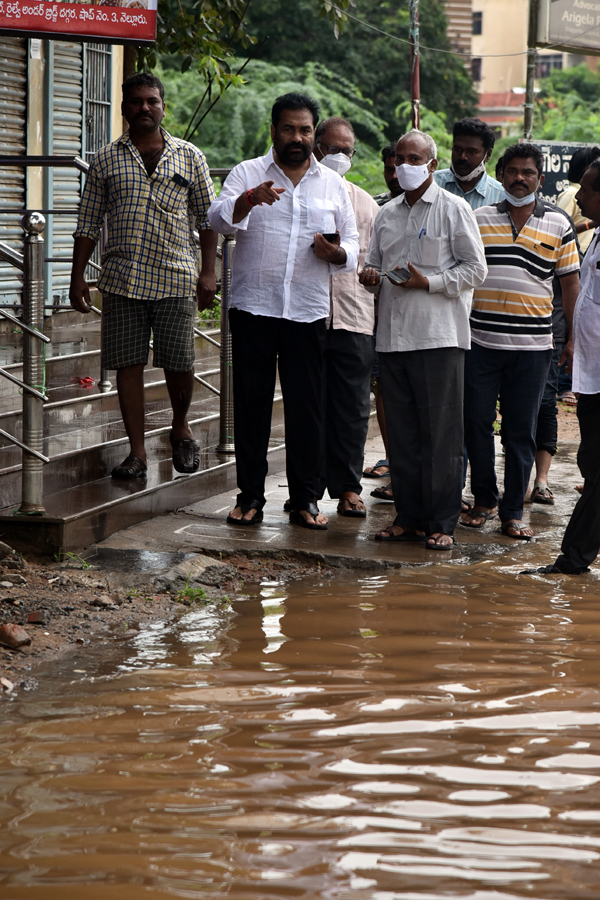 Heavy rain lashes Nellore district Photo Gallery - Sakshi50