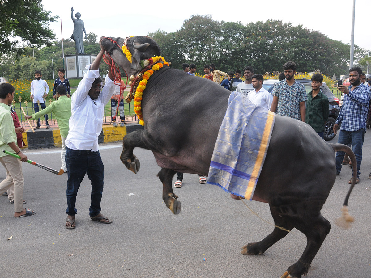 Sadar Festival Celebrations 2020 Photo Gallery  - Sakshi16