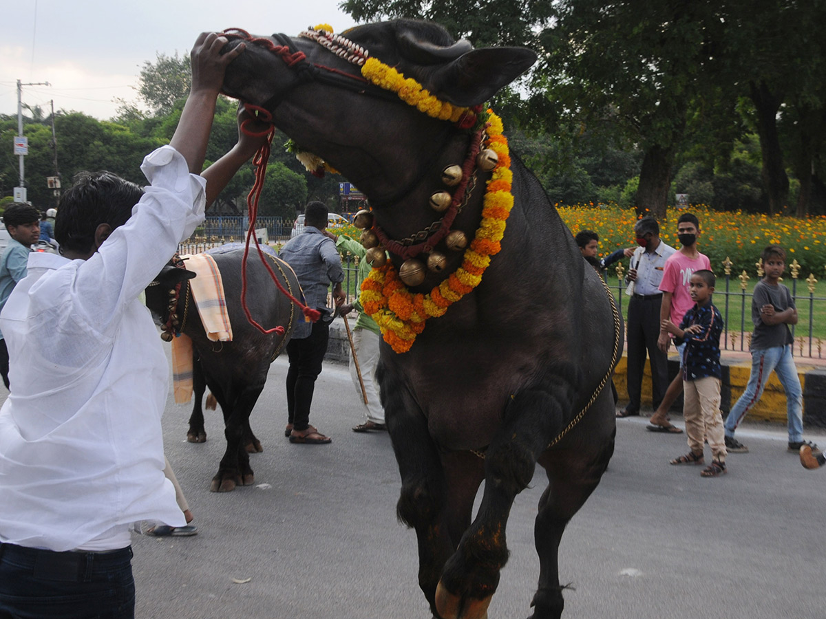 Sadar Festival Celebrations 2020 Photo Gallery  - Sakshi17