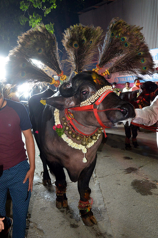 Sadar Festival Celebrations 2020 Photo Gallery  - Sakshi18