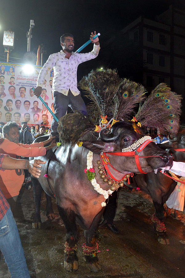 Sadar Festival Celebrations 2020 Photo Gallery  - Sakshi19