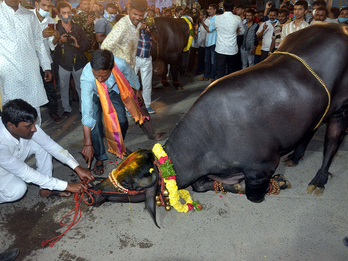 Sadar Festival Celebrations 2020 Photo Gallery  - Sakshi3