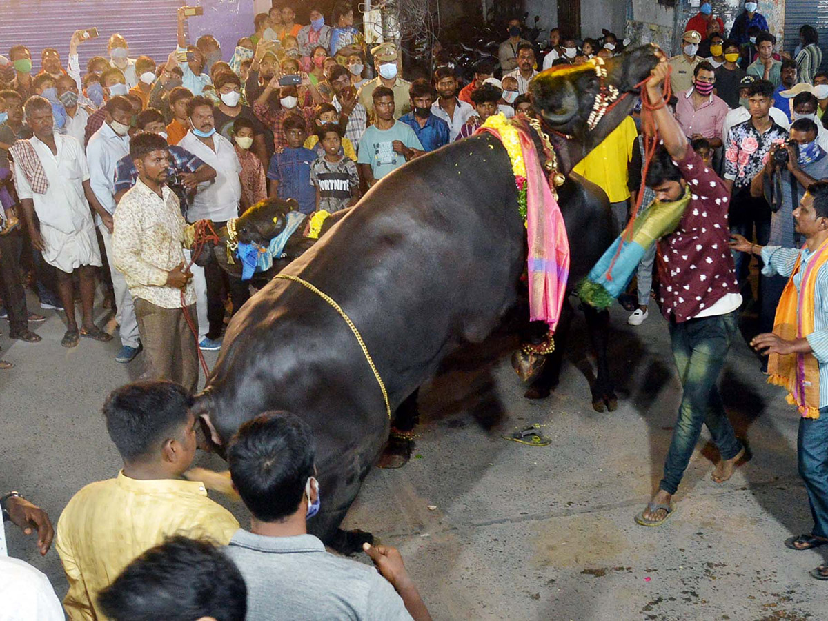 Sadar Festival Celebrations 2020 Photo Gallery  - Sakshi7