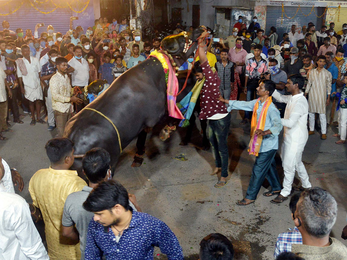 Sadar Festival Celebrations 2020 Photo Gallery  - Sakshi8