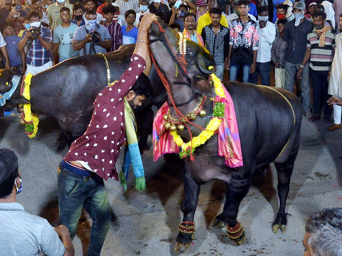 Sadar Festival Celebrations 2020 Photo Gallery  - Sakshi9