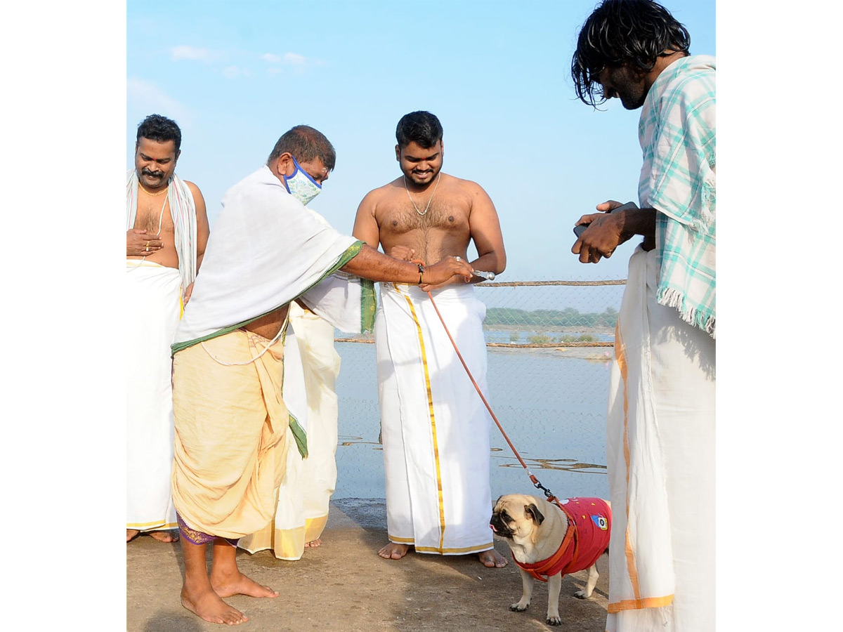 Tungabhadra Pushkaralu 2020 Photo Gallery - Sakshi23