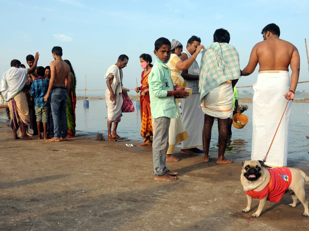 Tungabhadra Pushkaralu 2020 Photo Gallery - Sakshi31