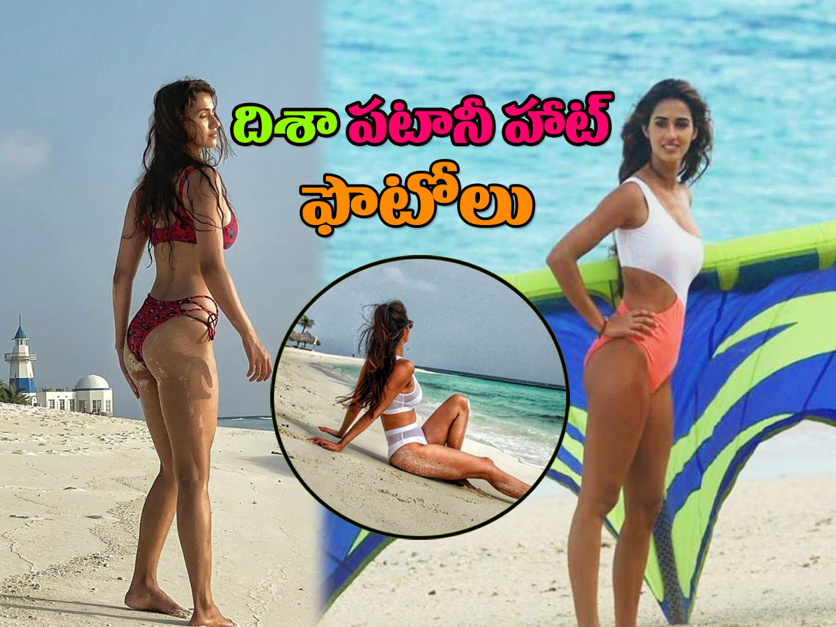 Disha Patani Hot Photos Photo Gallery - Sakshi1