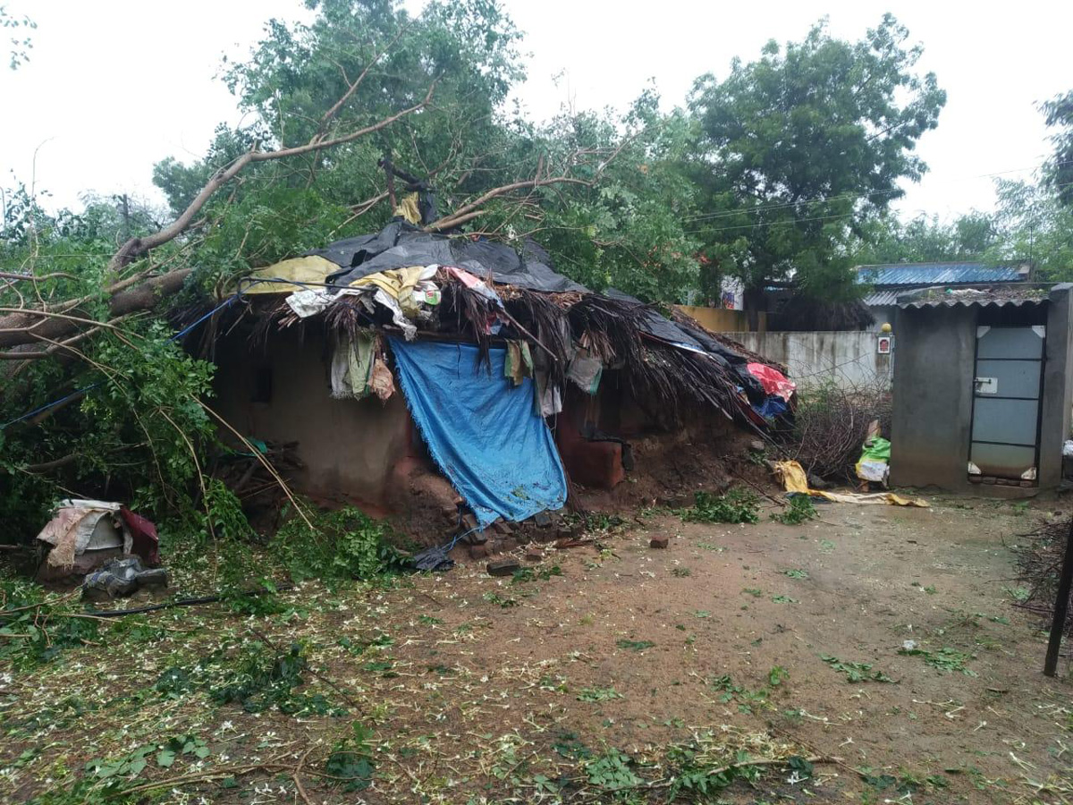 Nivar Cyclone in Tirupati Photos - Sakshi13