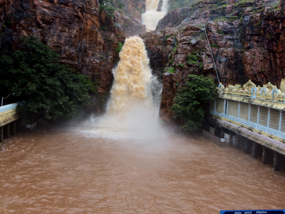 Nivar Cyclone in Tirupati Photos - Sakshi14