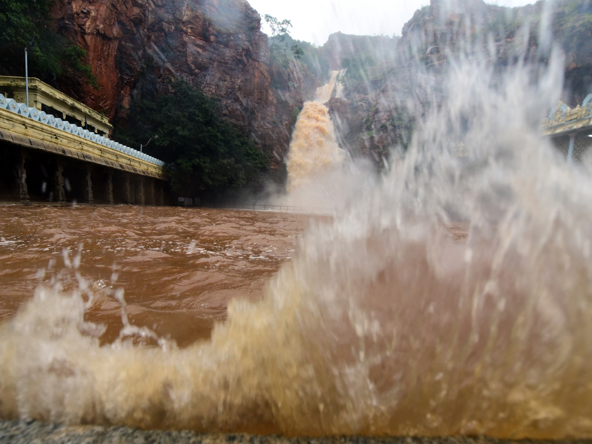 Nivar Cyclone in Tirupati Photos - Sakshi15