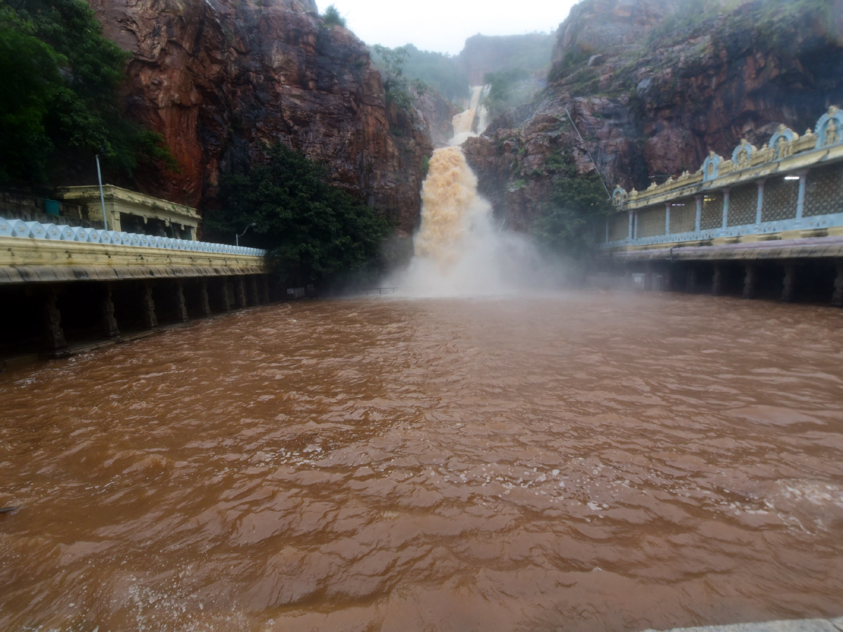 Nivar Cyclone in Tirupati Photos - Sakshi16