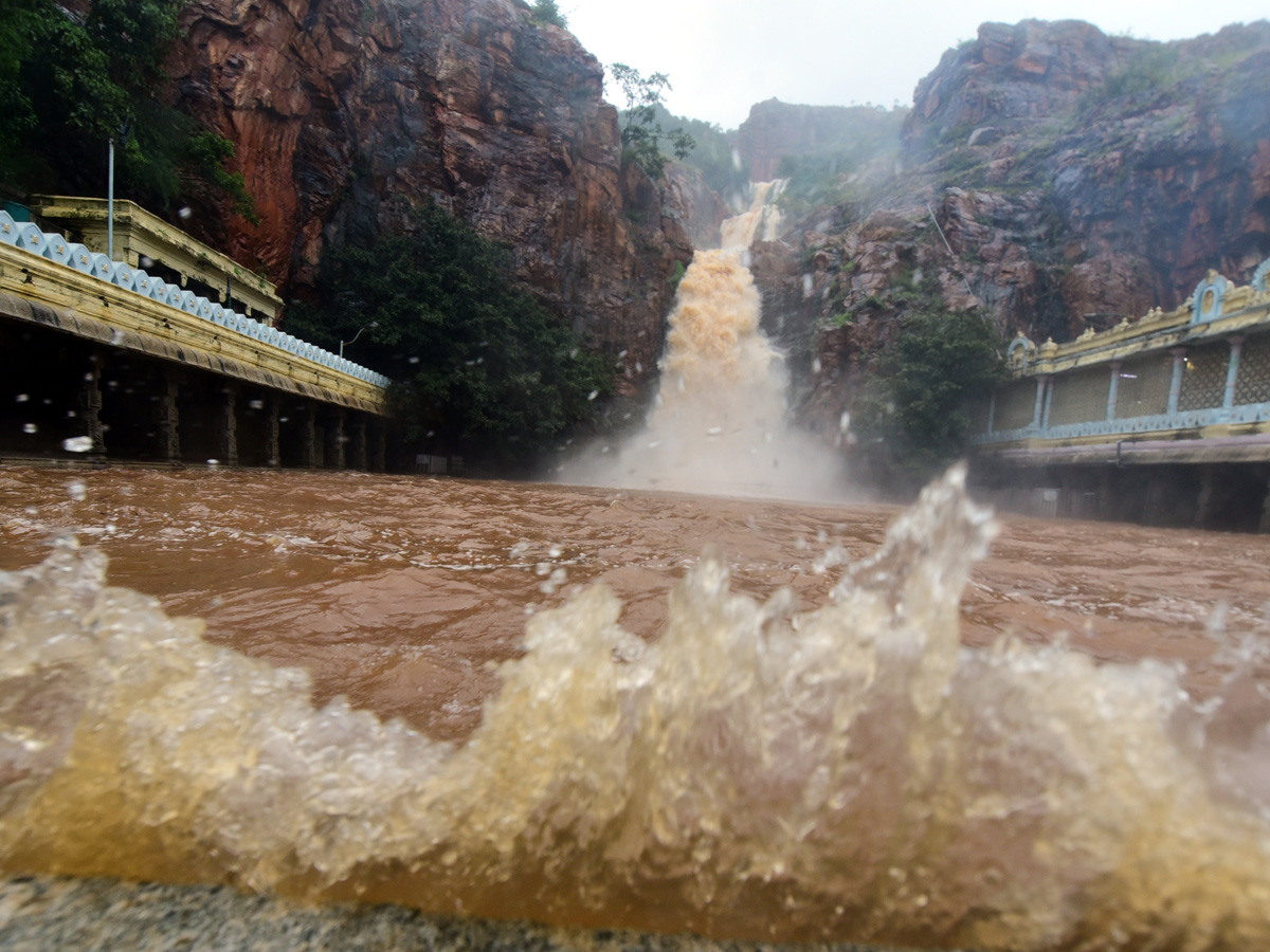 Nivar Cyclone in Tirupati Photos - Sakshi17