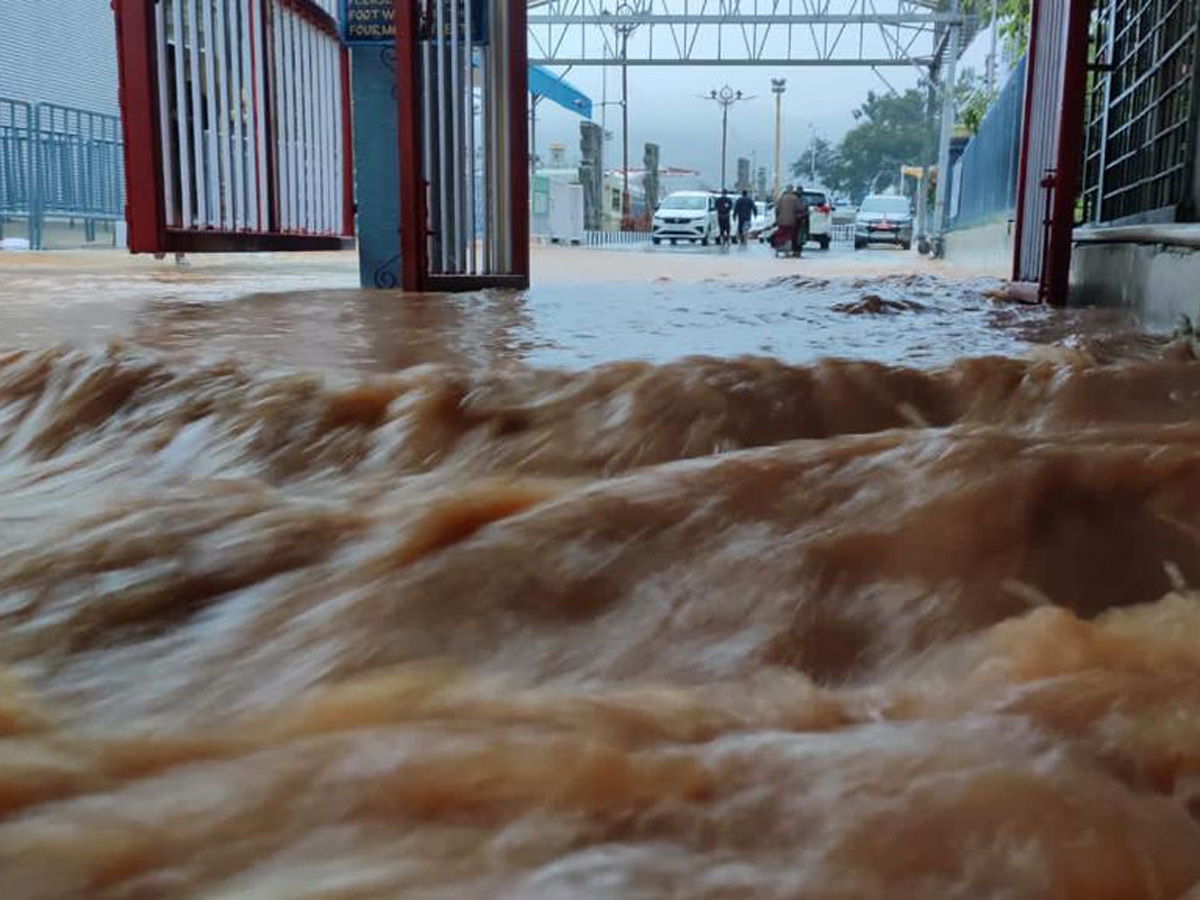 Nivar Cyclone in Tirupati Photos - Sakshi18