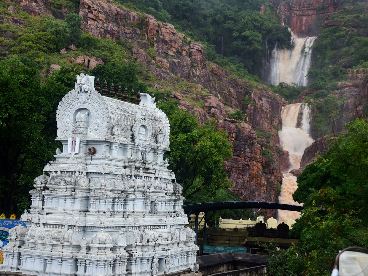 Nivar Cyclone in Tirupati Photos - Sakshi19