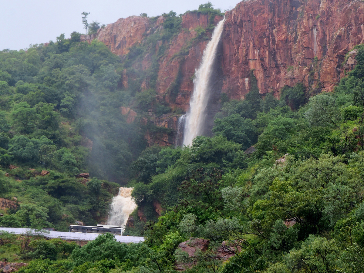 Nivar Cyclone in Tirupati Photos - Sakshi20