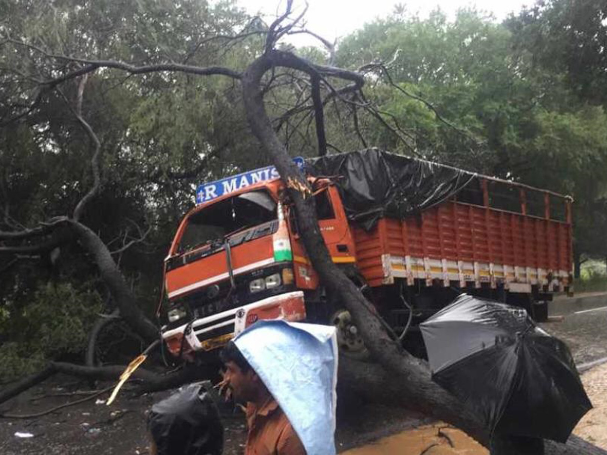 Nivar Cyclone in Tirupati Photos - Sakshi24