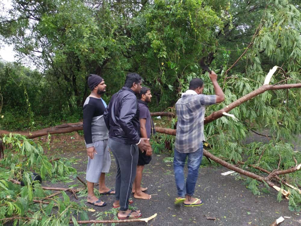 Nivar Cyclone in Tirupati Photos - Sakshi26