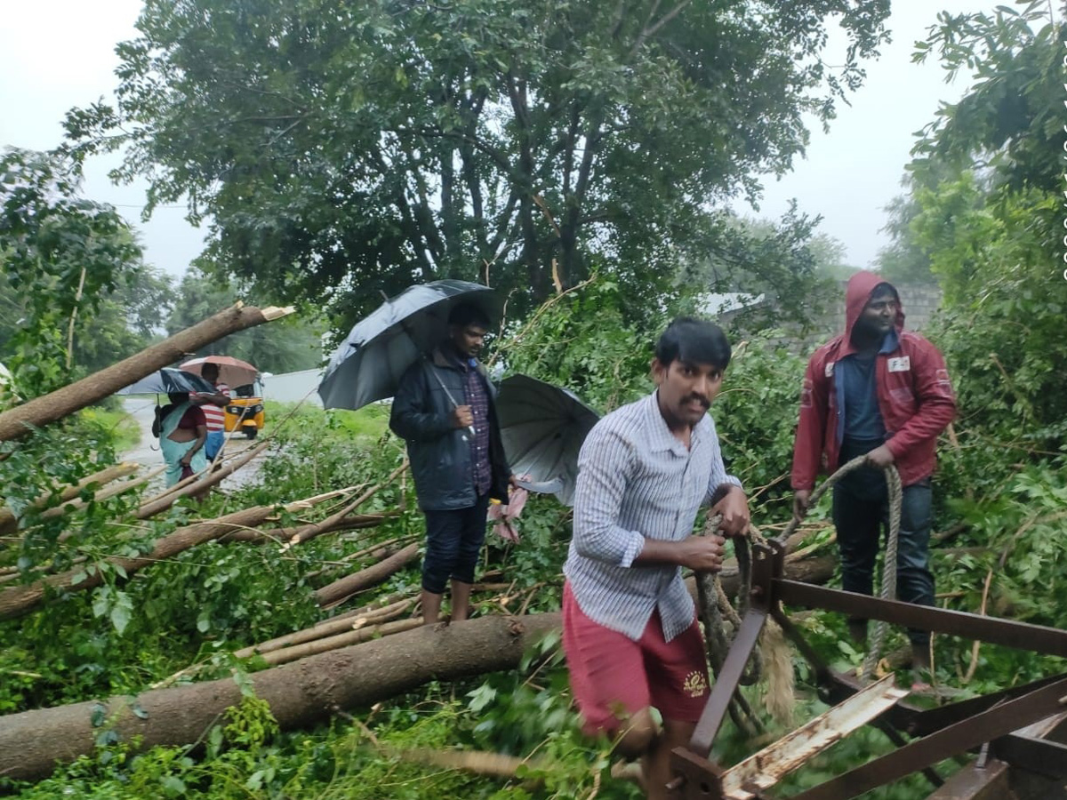 Nivar Cyclone in Tirupati Photos - Sakshi28